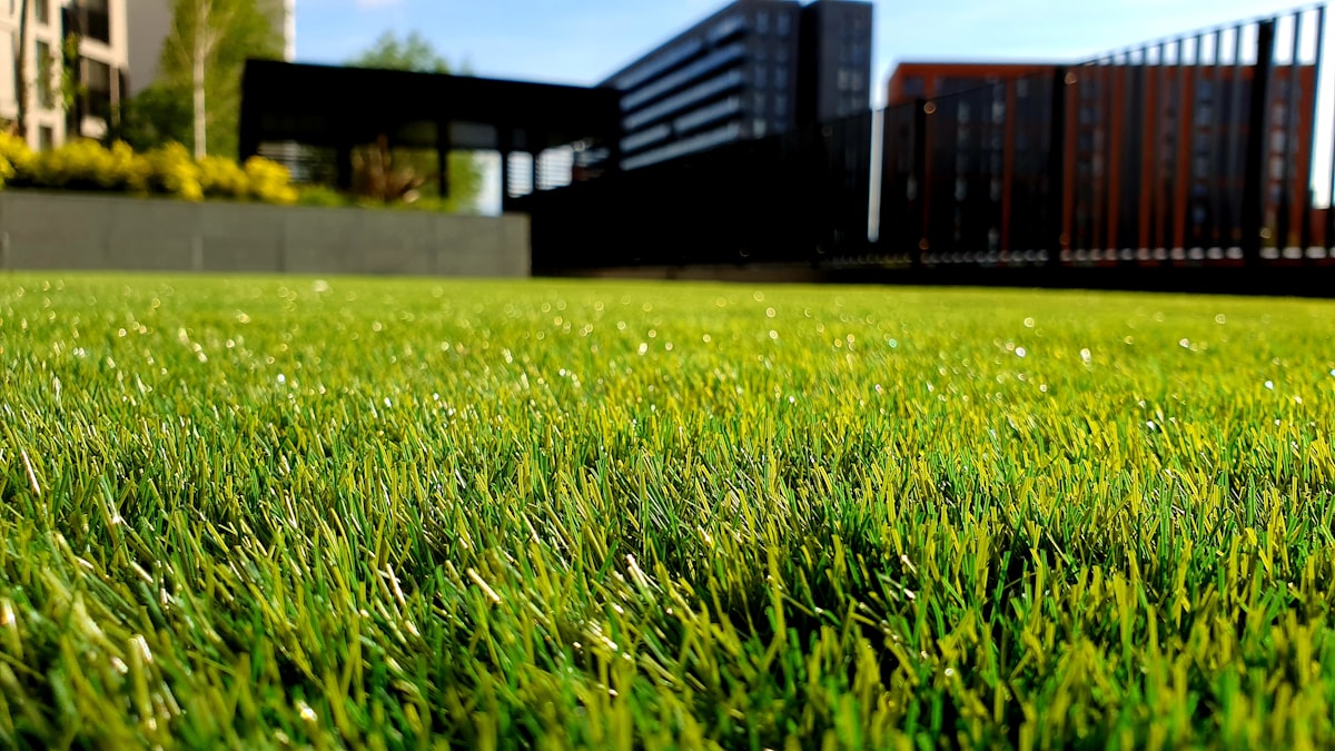 lawn care service - All American Lawn & Home Services Topeka KS
