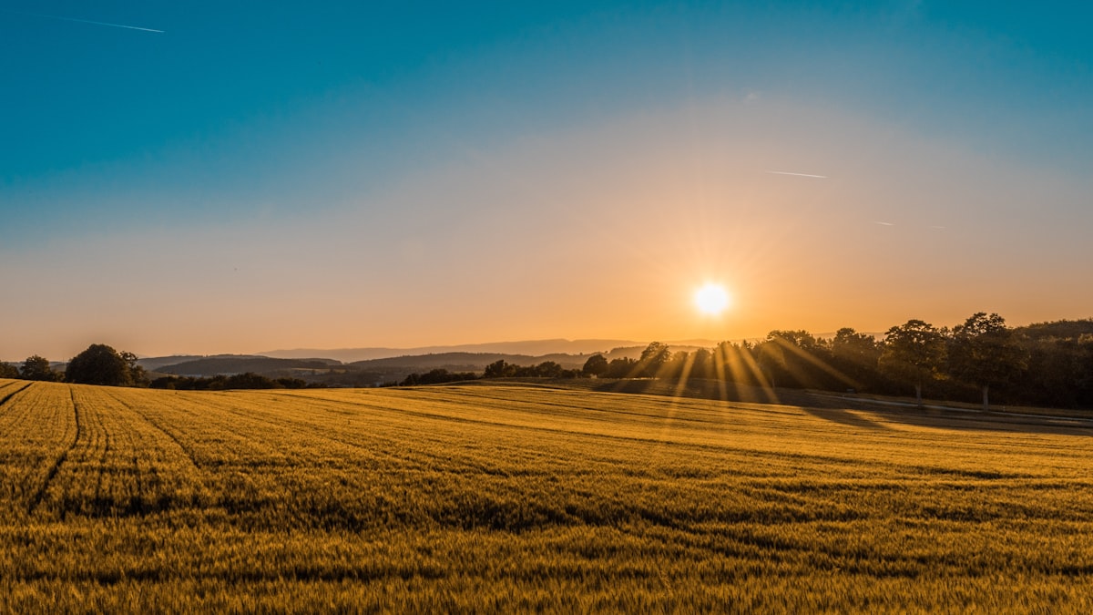 Lyndon Kansas Osage County landscape - lawn care services